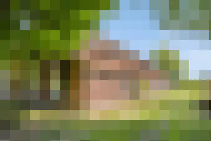 De Stad 5 Veghel thumbnail 13
