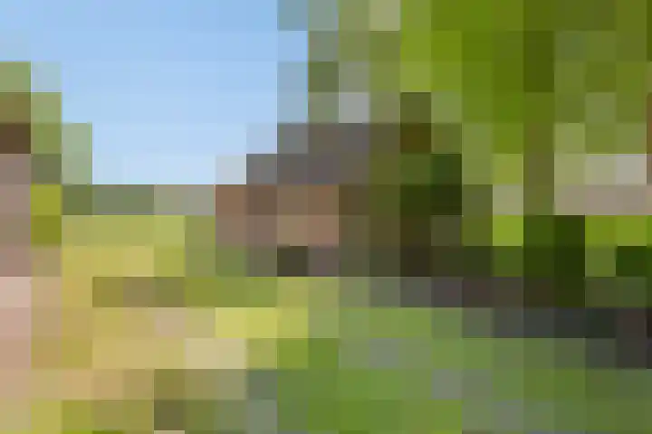 De Stad 5 Veghel thumbnail 15