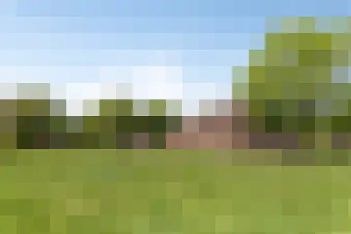De Stad 5 Veghel thumbnail 18