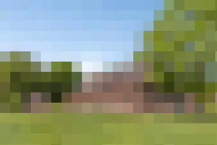 De Stad 5 Veghel thumbnail 19