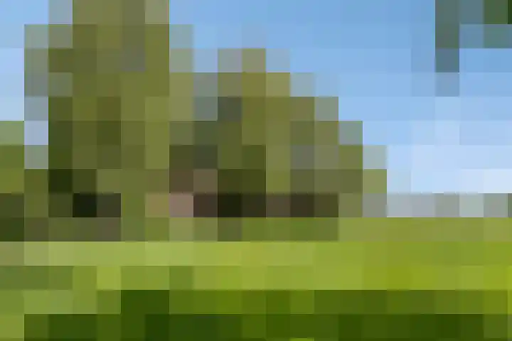 De Stad 5 Veghel thumbnail 21