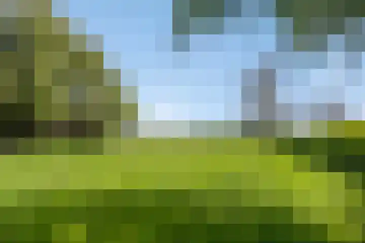 De Stad 5 Veghel thumbnail 22