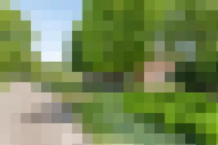 De Stad 5 Veghel thumbnail 23