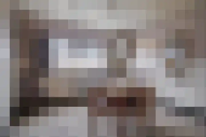 De Stad 5 Veghel thumbnail 4