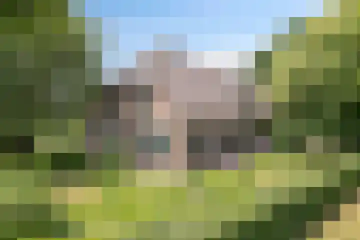 De Stad 6 Veghel