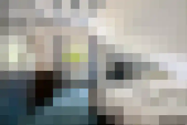 De Stad 6 Veghel thumbnail 34