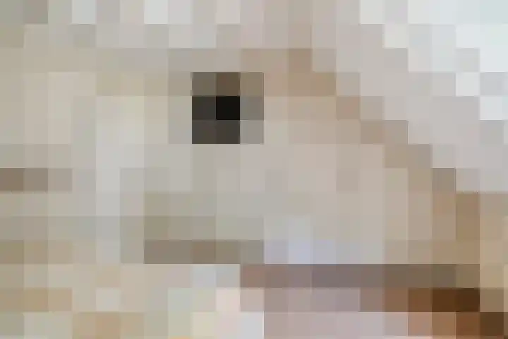De Stad 6 Veghel thumbnail 40