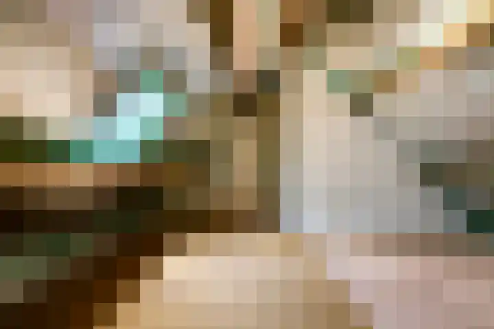 De Stad 6 Veghel thumbnail 48