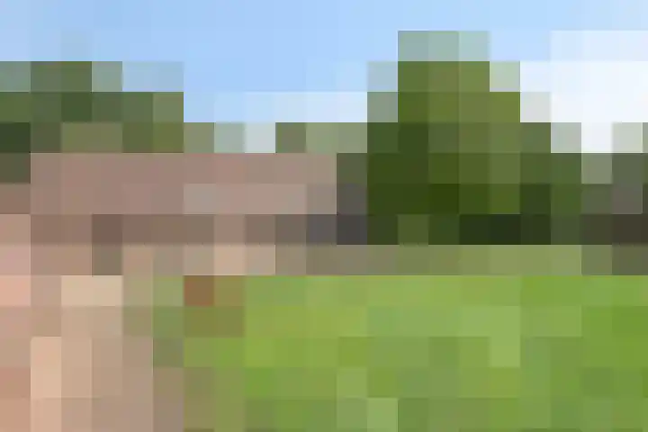 De Stad 6 Veghel thumbnail 54