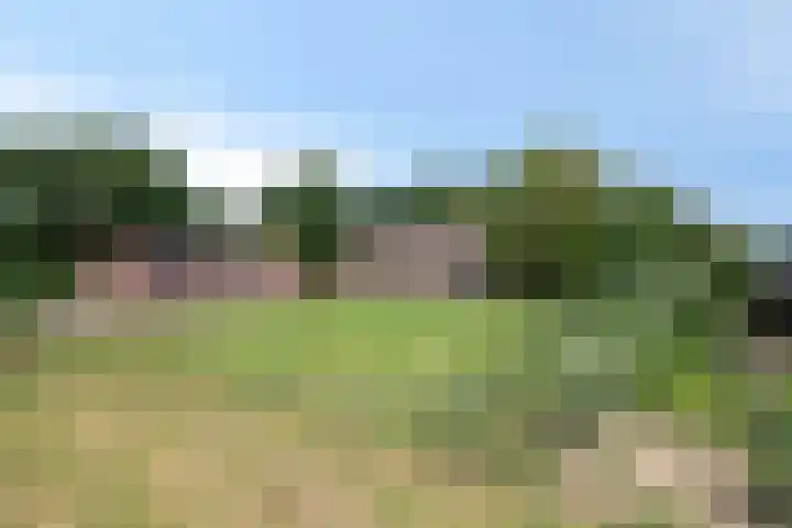 De Stad 6 Veghel thumbnail 57