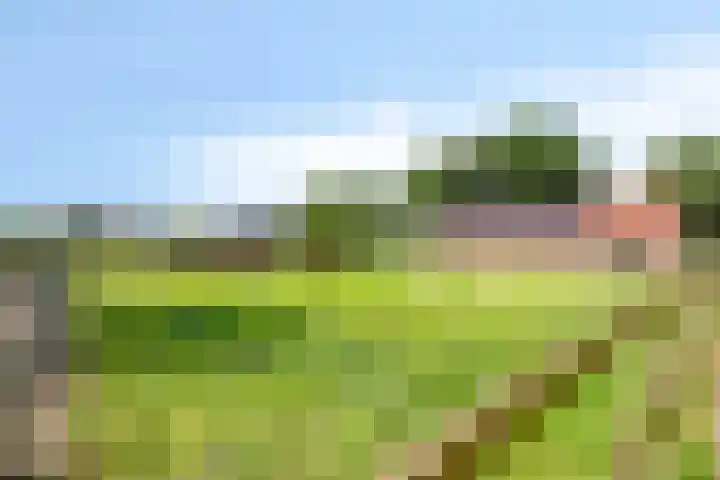 De Stad 6 Veghel thumbnail 64