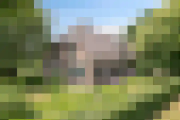 De Stad 6 Veghel thumbnail 79