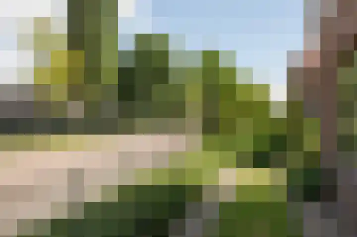 De Stag 104 Dronten thumbnail 6