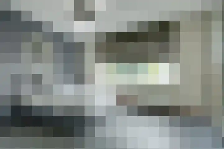 De Stag 106 Dronten thumbnail 20