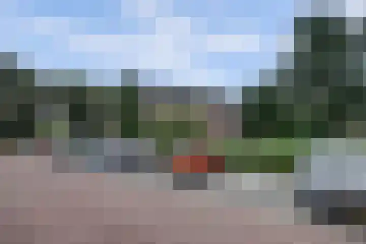 De Stag 106 Dronten thumbnail 28