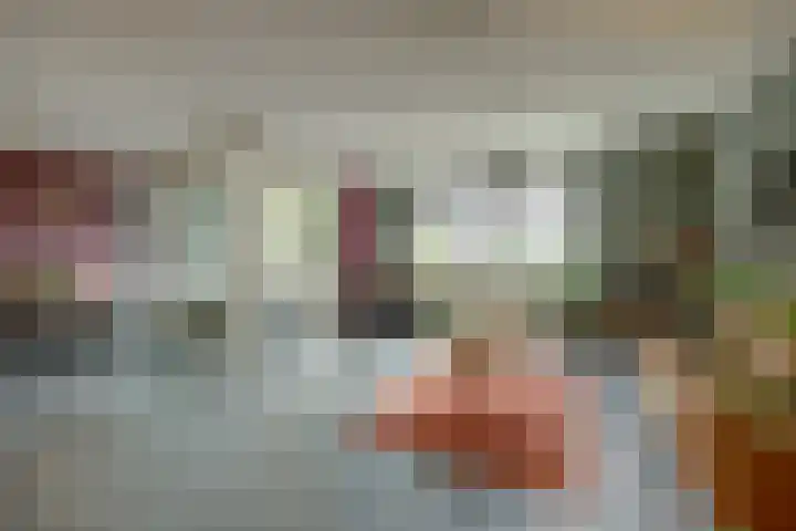 De Stag 106 Dronten foto 3