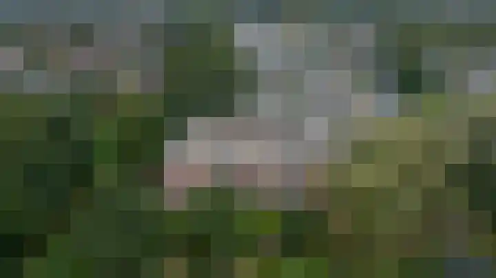 De Stag 106 Dronten thumbnail 32