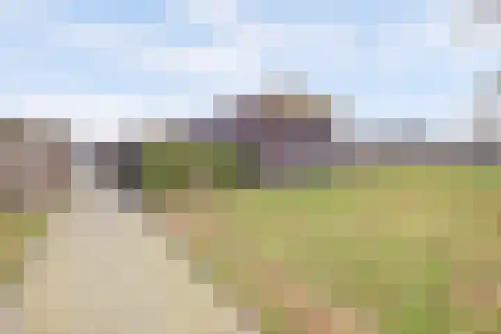 De Stag 130 Dronten thumbnail 33