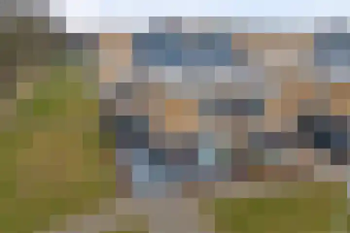 De Stag 130 Dronten thumbnail 38