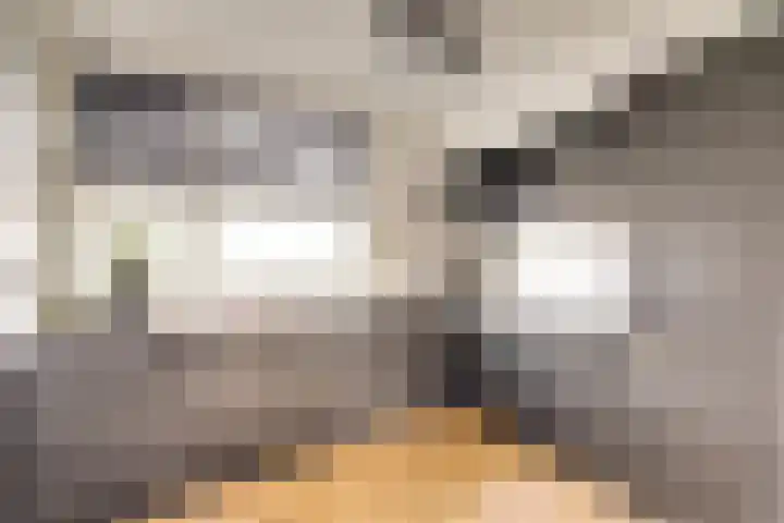 De Stag 30 Dronten thumbnail 4