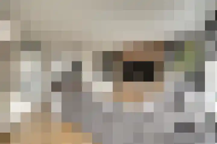 De Stag 30 Dronten thumbnail 8