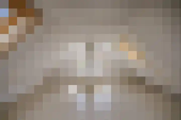 De Steech 5 Driezum thumbnail 20