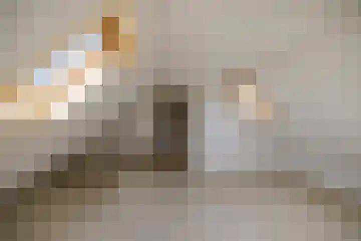 De Steech 5 Driezum thumbnail 21