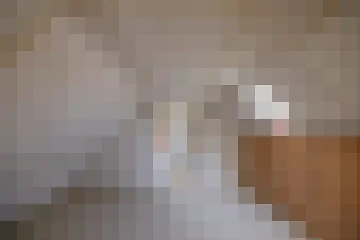 De Steech 5 Driezum thumbnail 22
