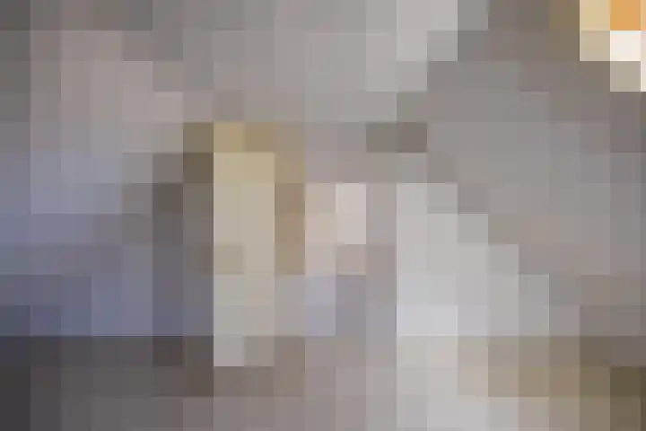 De Steech 5 Driezum thumbnail 24