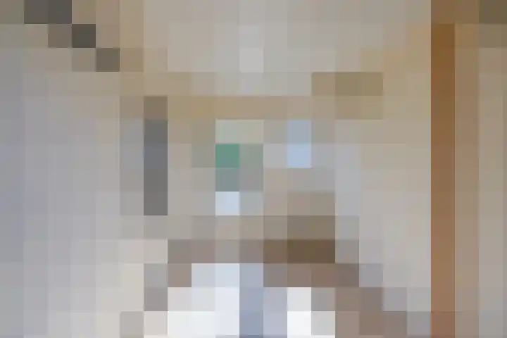 De Steech 5 Driezum thumbnail 25