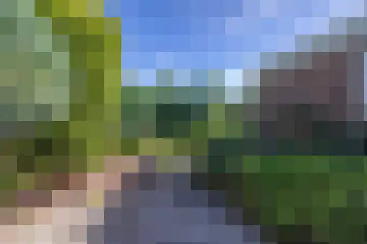 De Steech 5 Driezum thumbnail 29