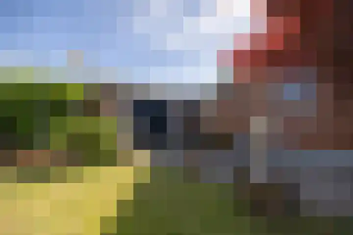 De Steech 5 Driezum foto 3