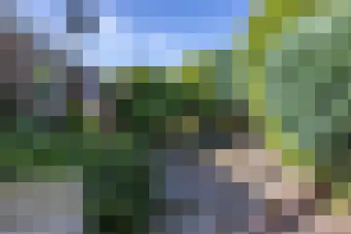 De Steech 5 Driezum thumbnail 30
