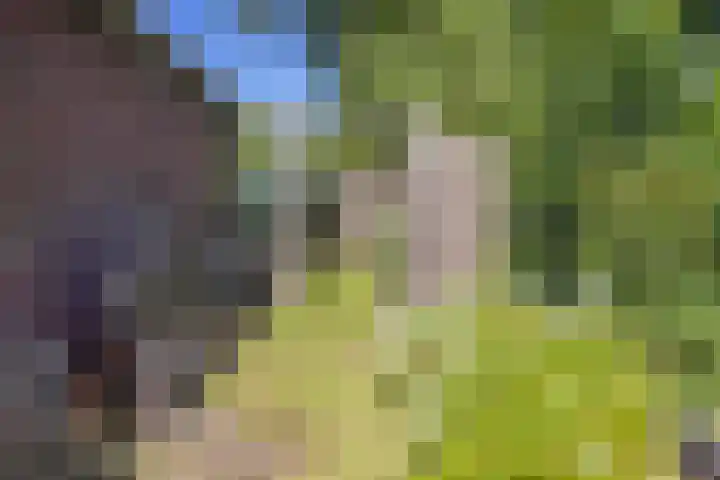 De Steech 5 Driezum thumbnail 31