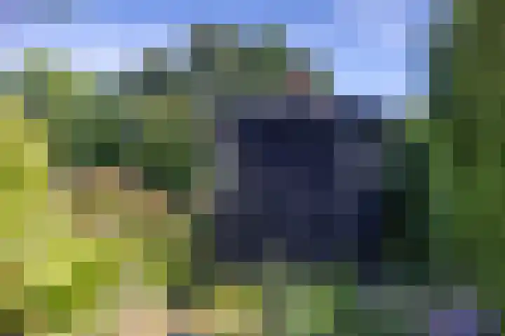 De Steech 5 Driezum thumbnail 33