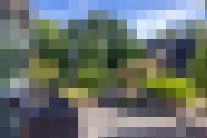 De Steech 5 Driezum thumbnail 34