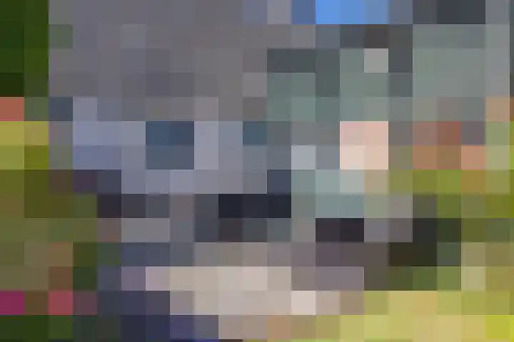 De Steech 5 Driezum thumbnail 35