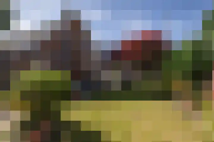 De Steech 5 Driezum thumbnail 4