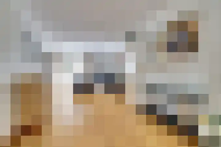 de Steeg 24 Angeren thumbnail 10