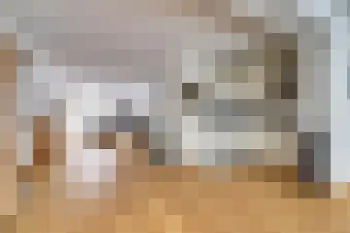 de Steeg 24 Angeren thumbnail 11