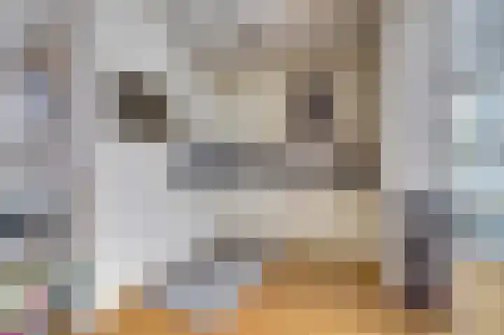 de Steeg 24 Angeren thumbnail 12