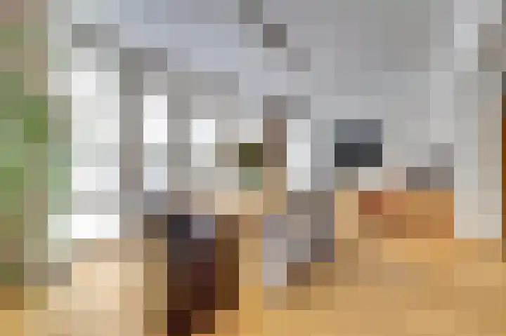 de Steeg 24 Angeren thumbnail 15