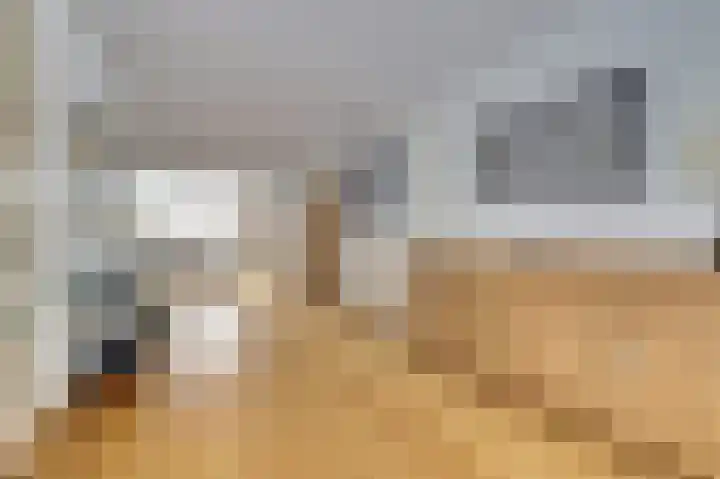 de Steeg 24 Angeren thumbnail 16