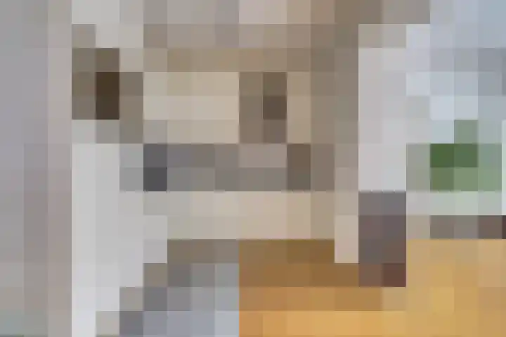 de Steeg 24 Angeren thumbnail 18
