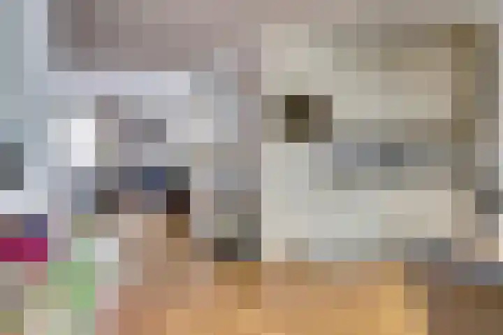 de Steeg 24 Angeren thumbnail 19