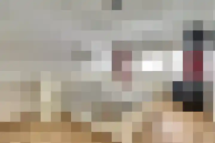 de Steeg 24 Angeren thumbnail 28