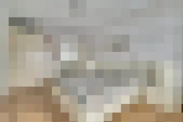 de Steeg 24 Angeren thumbnail 29