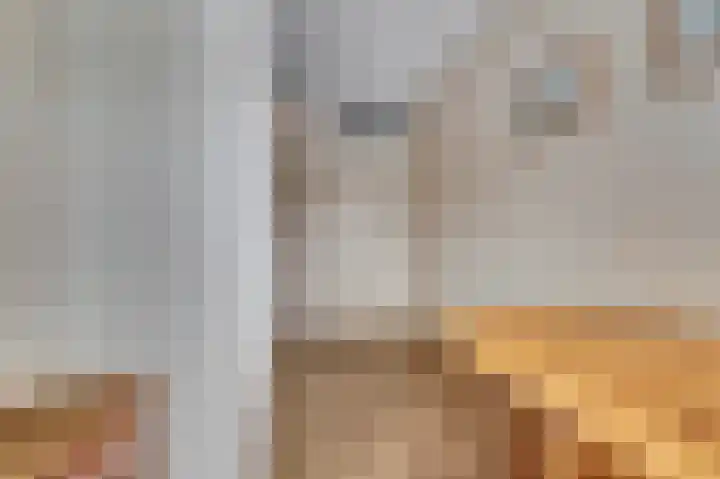 de Steeg 24 Angeren thumbnail 31