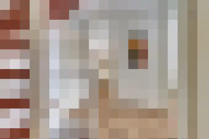 de Steeg 24 Angeren thumbnail 32