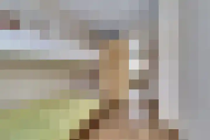 de Steeg 24 Angeren thumbnail 34